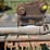 caterpillar-320-image-5