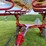 new-holland-pro-rake-image-10