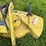 john-deere-260-image-8