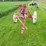international-1-bottom-pull-type-moldboard-plow-image-8