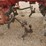 international-274-image-7
