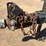 2014-sullair-185-cfm-image-13