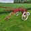 international-1-bottom-pull-type-moldboard-plow-image-7