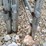 #23125-•-corral-panels-w/-gate-image-12