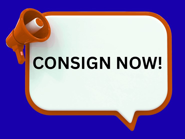 #1-•-now-accepting-consignments-image-1