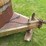 1990-s&h-tandem-axle-bumper-livestock-trailer-image-49