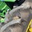 john-deere-g-image-45