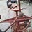 1946-farmall-h-tractor-image-31