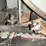 #185-•-2015-kentwood-hbr-300-horizontal-resaw-image-15