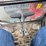 #24032-•-2024-takeuchi-tv350r-excavator-image-88