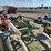 glencoe-soil-saver-image-18