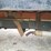 1982-international-1754-single-axle-grain-truck-image-38