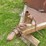 1990-s&h-tandem-axle-bumper-livestock-trailer-image-9