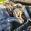 1999-ford-f350-image-56