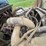 1999-freightliner-fl70-image-41