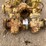 (8)-1”-to-4”-5k-manual-gate-valves-image-4