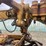 caterpillar-12g-image-39