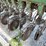 john-deere-8300-image-37