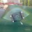 lancaster-elite-100-manure-spreader---like-new-image-18