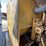 caterpillar-3512b-image-14