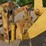 2004-komatsu-wa250-5-image-9