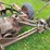 new-idea-253-pull-type-sickle-mower---nice-image-14