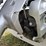 2003-claas-26-image-42