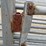 #23125-•-corral-panels-w/-gate-image-19