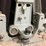 #138-•-2000-timesavers-widebelt-sander-image-26