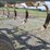 glencoe-soil-saver-image-16