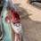 #109-•-1956-cadillac-de-ville-sedan-(title-in-delay)-(nitke-yard-mosinee,-wi)-image-28
