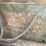 #143-•-diehl-straight-line-ripsaw-image-14
