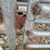 #23125-•-corral-panels-w/-gate-image-20