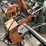 #149-•-taylor-clamp-carrier-image-11