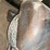 #129-•-tannewitz-gh-bandsaw-image-10