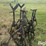 pipe-jacks-image-2