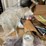 #4556-•-contents-of-shelf-image-4