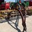 new-holland-258-image-3