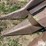 john-deere-443-image-18