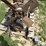 allis-chalmers-2800-image-16