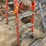 #4593-•-louisville-fiberglass-step-ladder-image-3