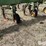 john-deere-85-image-13