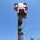 2019-kenworth-t270-image-21