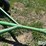 john-deere-1065-image-17