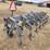 hiniker-1000-image-5