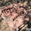 decorative-pavers-image-7