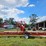 #21205-•-mobile-zimmerman-sawmill-image-4