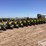 john-deere-7300-image-9