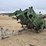 john-deere-237-image-6