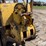 caterpillar-d6b-image-16